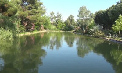 Botanik bahçe 300 bitkiye ev sahipliği yapıyor