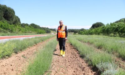 Botanik Vadisinde Susam Ve Çörek Otu toprakla buluştu