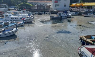 Bozcaada’da müsilaj görüldü