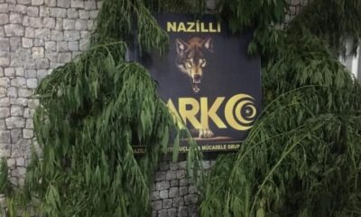 Bozdoğan’da uyuşturucu operasyonu