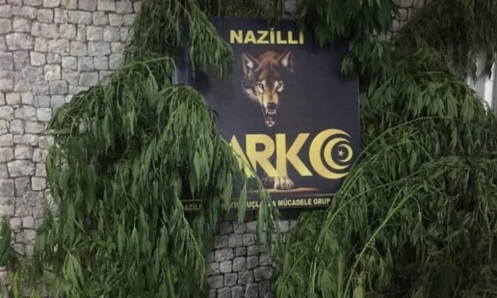 Bozdoğan’da uyuşturucu operasyonu
