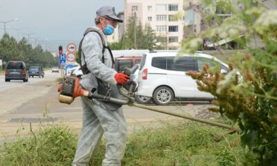 Bozüyük yaza yemyeşil girecek