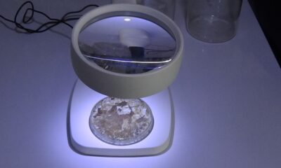 Bu çalışma müsilajı fırsata çevirebilir