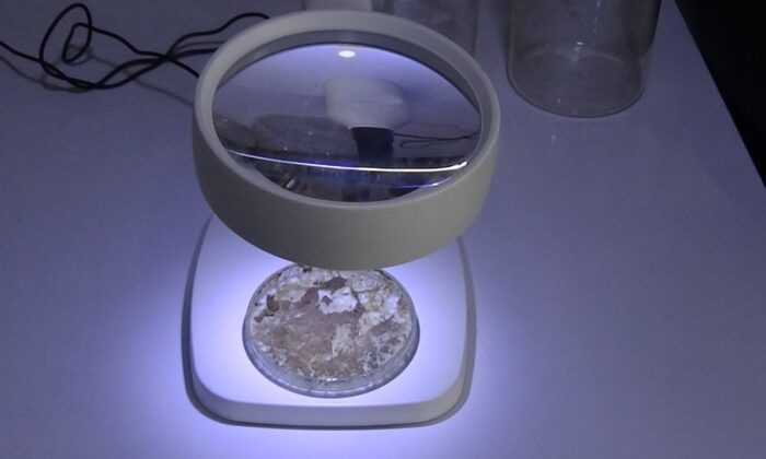 Bu çalışma müsilajı fırsata çevirebilir