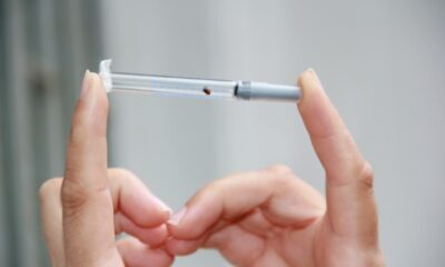 Bu hatalar öldürebilir: Kene ısırırsa bunu yapmayın