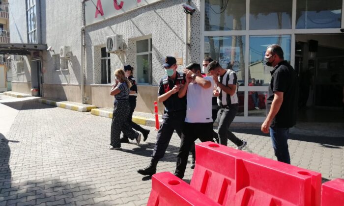 Bu pireler hayvanları komple alıp götürüyor