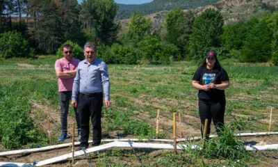 Bu uygulama Türkiye’de bir ilk olacak