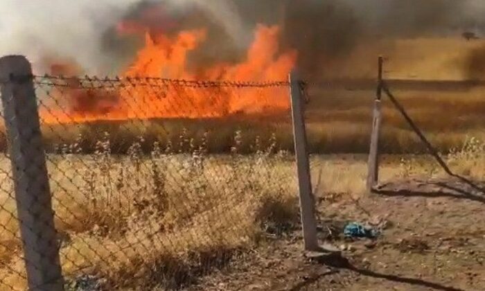 Buğday tarlasında çıkan yangını köylüler söndürdü