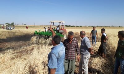 Buğday tarlasında yangın nöbeti