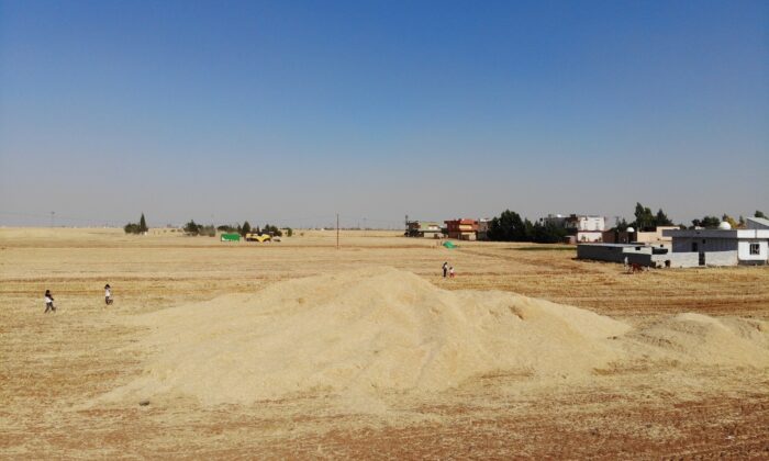 Buğdaydan istediği verimi alamayan çiftçi, gözlerini samandan gelecek gelire çevirdi