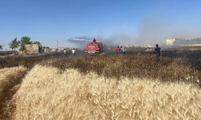 Buğdayın yandığını gören mahalleli tarlaya koştu