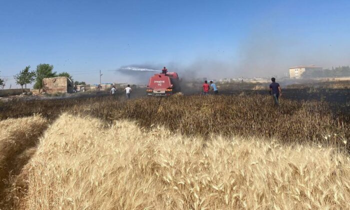 Buğdayın yandığını gören mahalleli tarlaya koştu