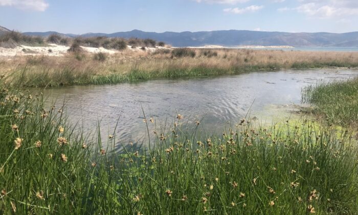 Burdur Çevre ve Şehircilik İl Müdürü Alacatlı: “Salda Gölü’nde herhangi bir kirlilik söz konusu değildir”