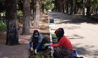Burdur’da mezarlıklar çiçek açacak