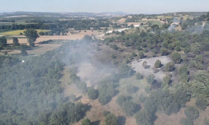 Bursa’da orman yangını