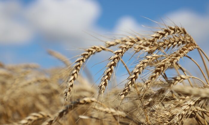 Büyükçekmece’de ‘’Tarımda Yeni Uygulamalar’’ eğitimi tamamlandı