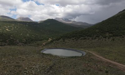Büyükşehir 15 bin koyunu Erciyes’ten eriyen kar sularıyla rahatlattı