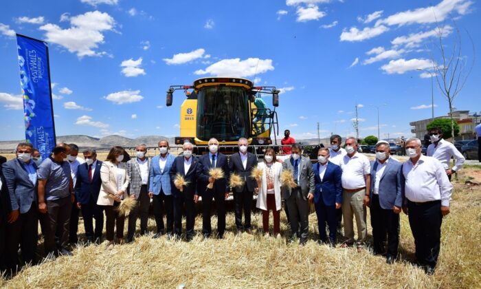 Büyükşehir, tohum hasadını gerçekleştirdi