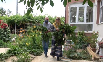 Büyükşehirden taşındılar, evlerinin bahçesinde ipekböceği yetiştiriyorlar