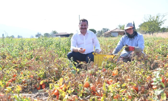 Büyükşehir’den üreticinin yüzünü güldüren destekler