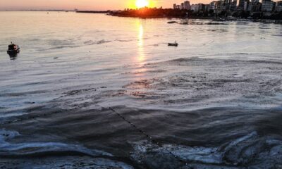 Caddebostan Sahili müsilaj istilası altında