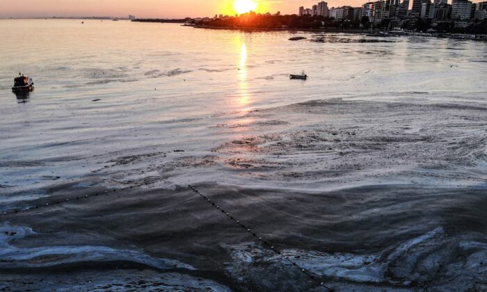 Caddebostan Sahili müsilaj istilası altında