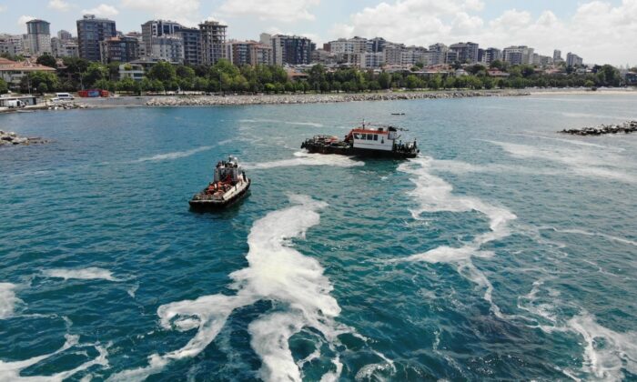 Caddebostan Sahili’nde deniz salyası temizliği devam ediyor