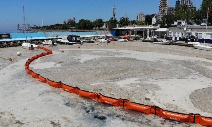 Caddebostan Sahili’nde müsilaj temizliği havadan görüntülendi