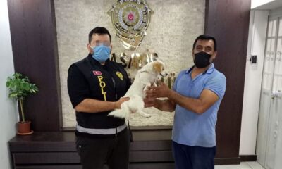 Çalındıktan sonra bulunan köpek sahibine teslim edildi