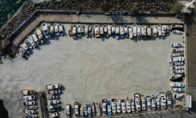 Çanakkale Boğazı’nda müsilaj kabusu sürüyor