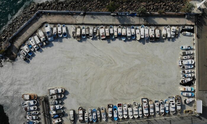 Çanakkale Boğazı’nda müsilaj kabusu sürüyor