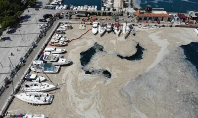 Çanakkale Boğazı’nda müsilaj temizliği seferberliği