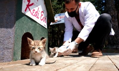 Canik can dostlarına sahip çıkıyor