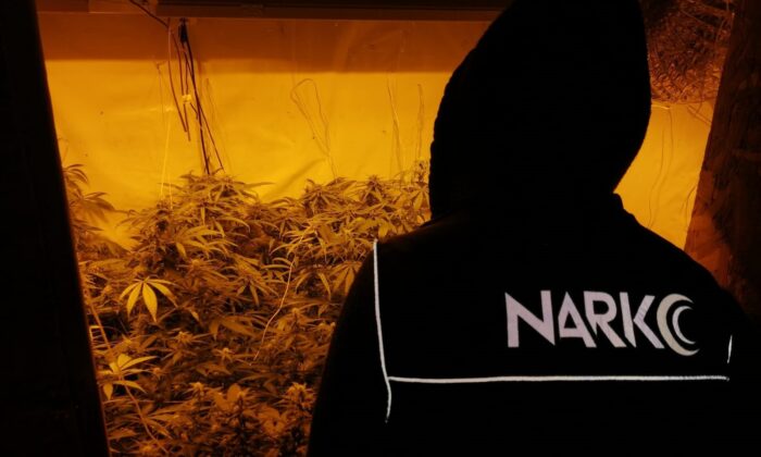 Çankırı’da 2.7 kilogram esrar ele geçirildi, 3 tutuklama