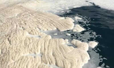 ÇATES’in kimyasalları denize döktüğü iddiası