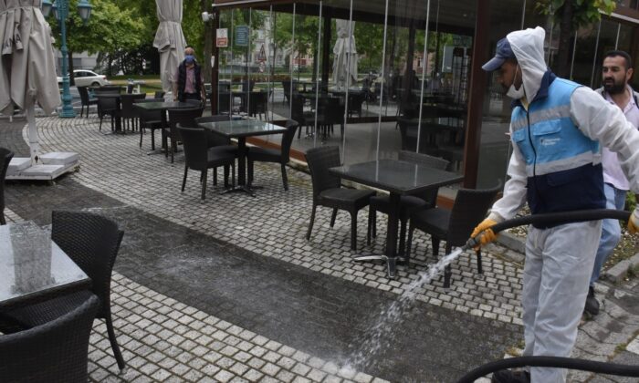 Çay bahçeleri yaza hazırlandı