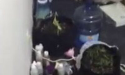 Çekmeköy’de narkotik baskınında 1 kilo 268 gram narkotik madde ele geçirildi