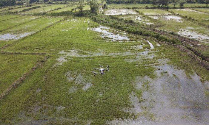 Çeltikte ZİHA dönemi