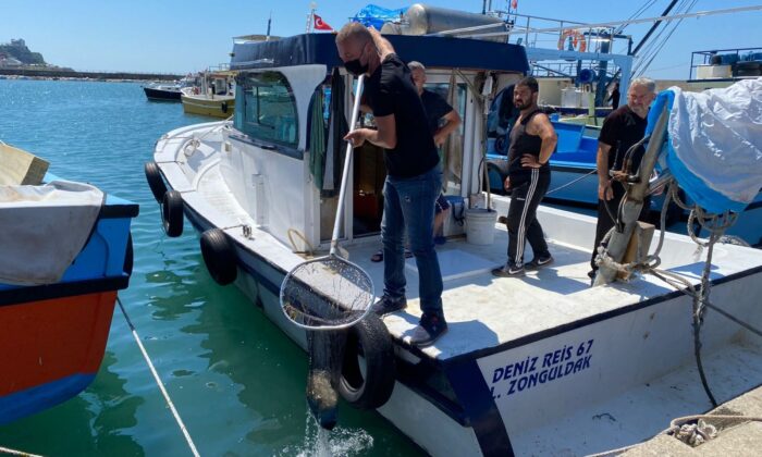 Çevre günü nedeniyle denize daldılar, çıkardıkları şaşkına çevirdi