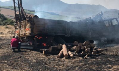 Ceyhan’da odun yüklü kamyon alev aldı