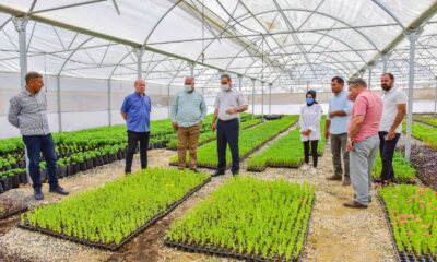 Ceylanpınar, Bitki Üretim Serası ile ile güzelleşiyor