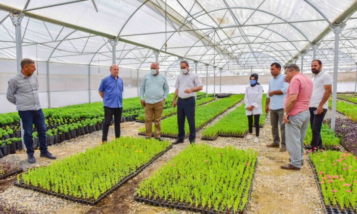 Ceylanpınar, Bitki Üretim Serası ile ile güzelleşiyor