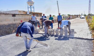 Ceylanpınar kırsalında yüzler gülüyor