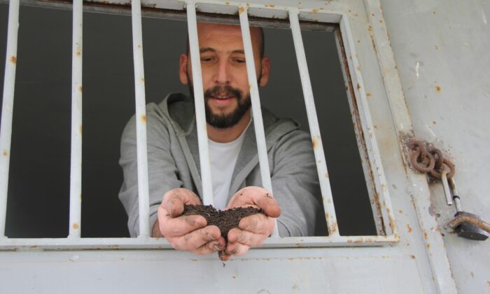 Cezaevinde solucan gübresi yetiştiriyor