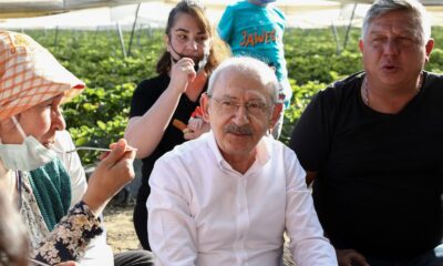 CHP Genel Başkanı Kılıçdaroğlu Aydın’da çilek hasadına katıldı