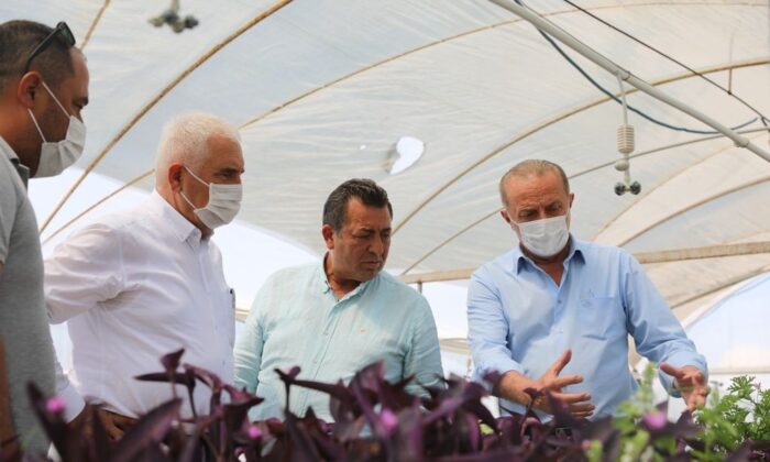 CHP’li milletvekilleri Didim Belediyesi serasında incelemelerde bulundu