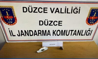 Çiçekçide bonzai operasyonu
