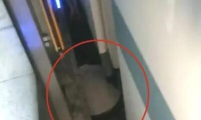 Çin’de 2 aylık bebek, metro ile platform arasına düştü