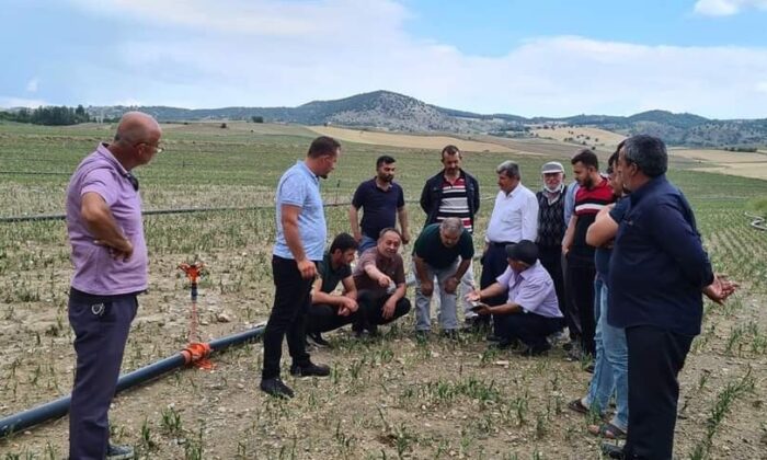 Çorum’da tarım alanlarını dolu vurdu