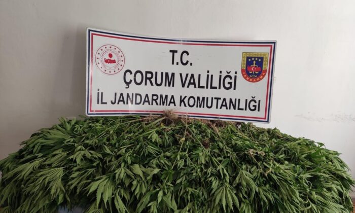 Çorum’da uyuşturucu operasyonu